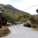 숲속의명품마을 이미지