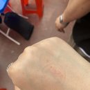 하림맥시칸 이미지