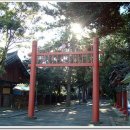 자연사 세탁소 이미지