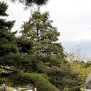 제일양 - 고양시 일산동구 | 제일양