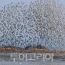 군무 2022-1 이미지