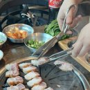 금성아그로 네이버블로그