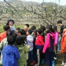 손불농장 이미지