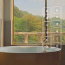 주식회사 덴바스타호텔덕천점 | 부산 만덕 덴바스타 포레스트 호텔에서 즐기는 크리스마스, 연말호캉스,부산감성숙소,연말모임,신년모임