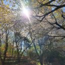 용산센트럴파크공인중개사사무소 | # 용산 센트럴파크