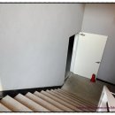 (주)파 스