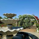 금강행정사사무소 이미지