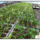 녹지농장 이미지