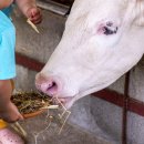 천지2목장 이미지