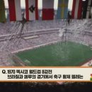 펠레퀸