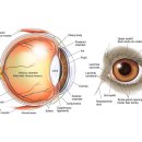 온누리동물병원 이미지