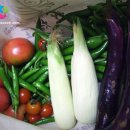 은찬농장 이미지