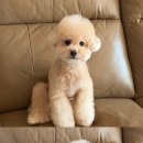 반야시스터 이미지