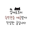 강아지언니 이미지