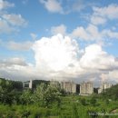 하늘 - 강남구 도산대로 446 | 하늘