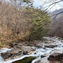 지리산 남원시 산내면,뱀사골 신선길 겨울 풍경 이미지