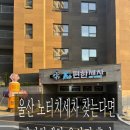 더편한 | 울산노터치세차 찾는다면 만두마마가 반한 더편한세차 후기
