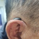 시그니아독일보청기대구북구센터 이미지