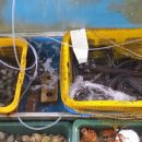 고흥녹동회타운 이미지