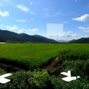 청도대림공인중개사사무소 이미지