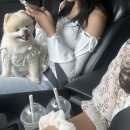 구름다리명가 이미지