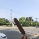 용화산염소농장 | 춘천 해피초원목장 총정리! 인생샷 찍으려면 운동화 필수~