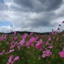 물천1리 이미지