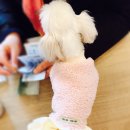그루밍박스 이미지