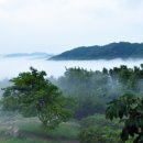 보문산공원로 이미지