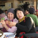 월내초등학교 이미지