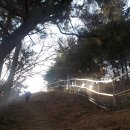 형제봉길 이미지