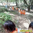 숲자연어린이집 이미지