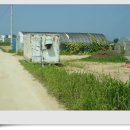 용호농장 2 이미지