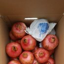 고흥 석류,유자 판매합니다!! 이미지