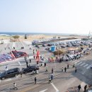 강구대게축구장 | ​[2025 영덕대게축제] 일정·장소·프로그램 총정리
