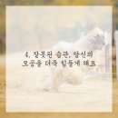 브이의원 이미지