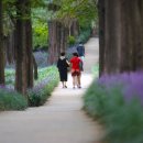 천지인(天.地.人) 이미지