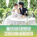 그린나래 | ✨울산시티컨벤션 그린나래✨ 웨딩홀 살펴본 후기~!