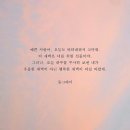 예쁜사람아 네이버블로그