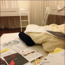 R가네상점 | [파리] 13.11.3-4, 파리 in/파리힐링하우스/유로자전거나라 루브르 클래식 투어