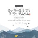 와이앤에스