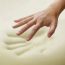 기역(ㄱ)유통 | 내돈내산) 바디필로우 전격 해부