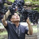 희성농장 이미지