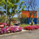 봄펜션민박 이미지