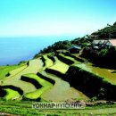 테마투어(농어촌 체험) 이미지