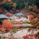해외여행 ‘1순위’ 일본, 가을·겨울 추천여행지 이미지