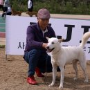 백*구