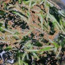 옛날기사식당 이미지