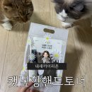 반려묘와 교감하는 집사템 추천 [내새끼이리온] 캣닢향 핸드토너 리얼후기
