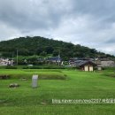 남원 만복사지 석조여래입상 | 폐사지11편)남원 만복사지(萬福寺址),김시습 소설 만복사저포기의 무대